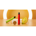 2022 Heißverkaufs Einweg -Vape -Kit 600 Puffs
